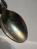 Idaho Fish Idaho Souvenir Spoon