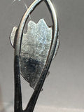 Winnipeg Crocus Flowers Manitoba Manitoba Souvenir Spoon