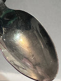 Ottawa Parliament Building  Ontario Souvenir Spoon