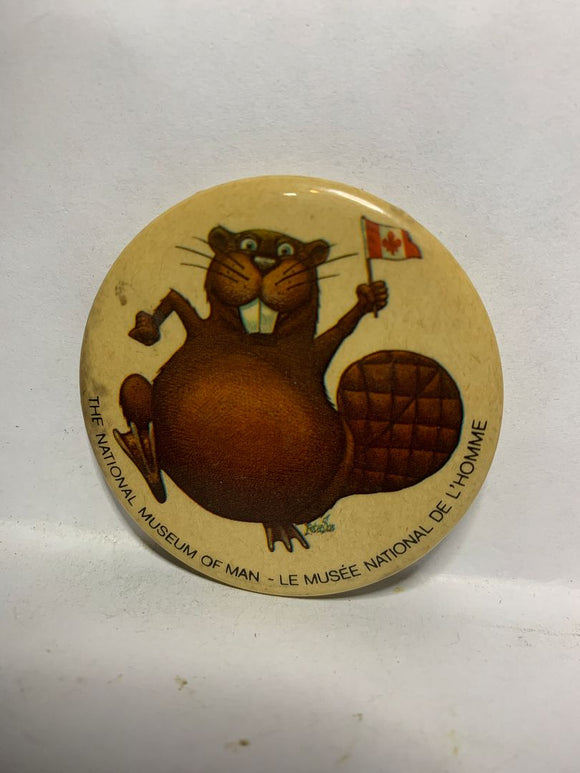 The National Museum of Man Beaver Mascot  Button Pinback