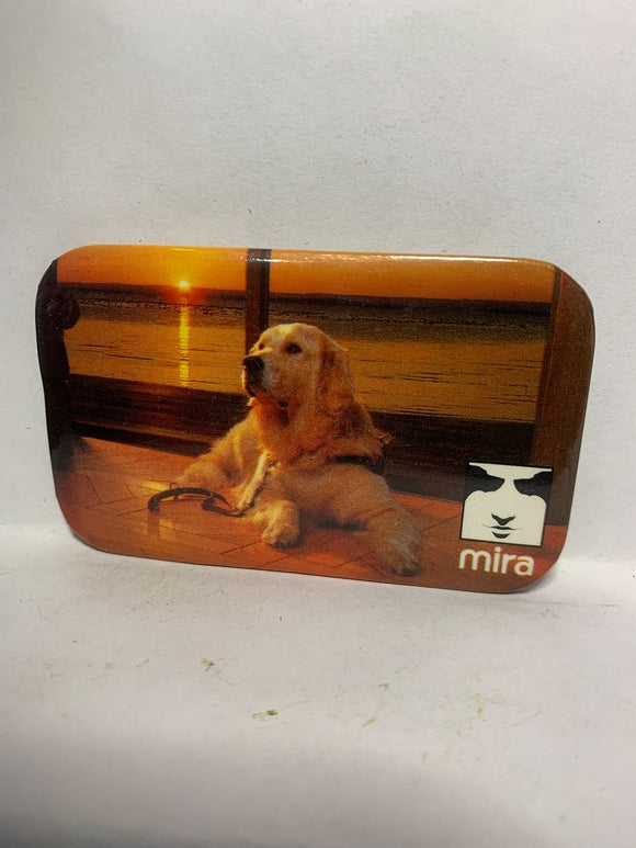 Mira Golden Dog Sunset Lake  Button Pinback