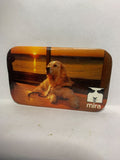 Mira Golden Dog Sunset Lake  Button Pinback