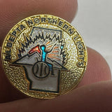 Alberta Northern Lights Logo  Lapel Pin