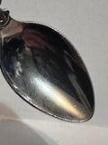 Columbia Icefield Canadian Rockies  Alberta Souvenir Spoon
