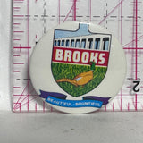 Brooks Beautiful Bountiful Pheasent  Lapel Pin