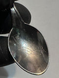 Sea World Orca Killer Whale California  California Souvenir Spoon