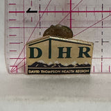 DTHR David Thompsoon Health Region Logo  Lapel Pin