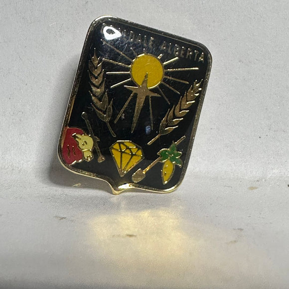 Coaldale Alberta Symbols  Lapel Pin