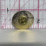 Vermilion Schools Reunion 2003  Lapel Pin