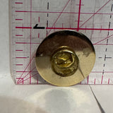 Town of Sylvan Lake A Town for all Seasons Logo  Lapel Pin