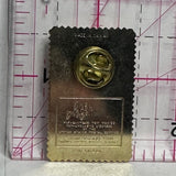 Learning Never Ends USA 15 Cents Stamp  Lapel Pin