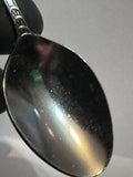 New Jersey Garden State New Jersey Souvenir Spoon