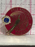 Drug Awareness Innifail Alta Lions Club  Lapel Pin