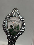 New Mexico Desert  New Mexico Souvenir Spoon