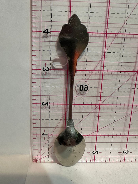 Idaho Fish Idaho Souvenir Spoon