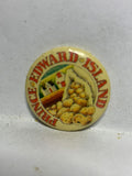 Travelin Incougnito Couger Ad  Button Pinback