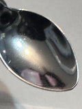 Mexico Desert Mexico Souvenir Spoon