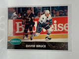 # 384 David Bruce  San Jose Sharks 92-93 Parkhurst Hockey Cards