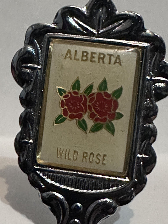 Columbia Ice Fields Alberta Wild Rose  Souvenir Spoon