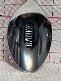Banff Alberta Wild Rose  Souvenir Spoon