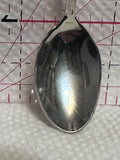 AARPA Alberta  Souvenir Spoon