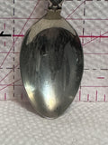 Trumpter Swan Grande Prairie Alta Alberta  Souvenir Spoon