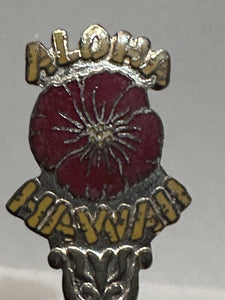 Aloha Hawaii Flower Pineapple  Souvenir Spoon