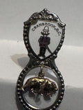 Cranbrook BC Steele Grizzly Bear  Souvenir Spoon