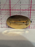Mixed Curling Section Winner  Lapel Pin