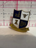 Town of Airdrie Alberta Crest Emblem  Lapel Pin