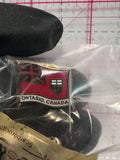 Ontario Province Flag  Lapel Pin