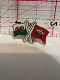 Wales  Ichdien Friendship Flags  Lapel Pin