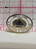 Foster Care 15th annual Conference 1988  Lapel Pin