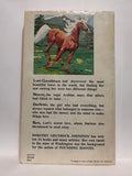 Pounding Hooves Dorothy Grunbock Johnston © 1979 Young Adult Book Paperback