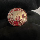 I Love LA Rainbow Beach Music  Lapel Pin