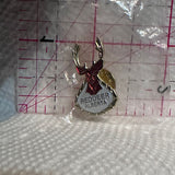 Red Deer Alberta Logo  Lapel Pin