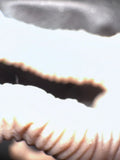 Brachiosaurus Dinosaur Animal Toy