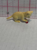 Kitten Playing with Red Ball Cat Animal Toy