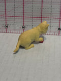 Kitten Playing with Red Ball Cat Animal Toy