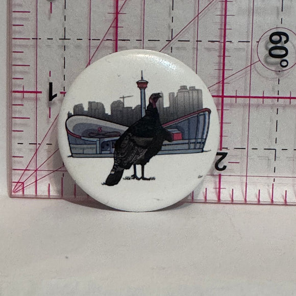 Turkey Saddle Dome Calgary  Button Pinback