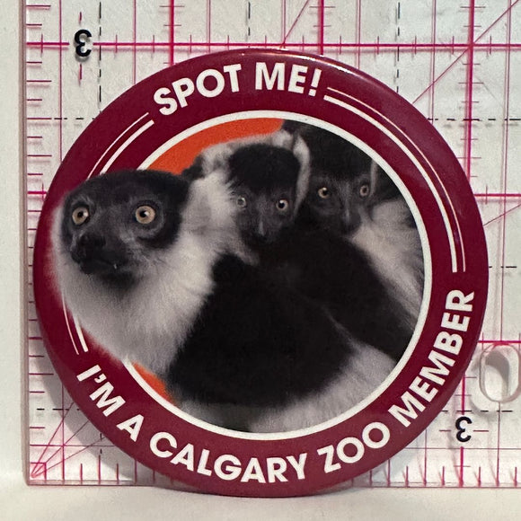 Lemur Spot Me I'm A Calgary Zoo Member  Button Pinback