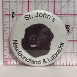 St John's Newfoundland Labrador Dog Province  Button Pinback