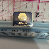 Alberta Apprenticeship Logo  Lapel Pin