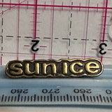 Sun Ice Logo  Lapel Pin