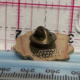 Town of Sylvan Lake   Lapel Pin
