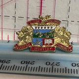 City of Red Deer Coat of Arms Alberta  Lapel Pin