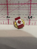 Canadian Flag  Lapel Pin