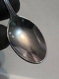 Black Hills South Dakota Buffalo  South Dakota Souvenir Spoon