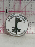 Alberta Committee of Consumer Groups of Disabled Persons  Lapel Pin