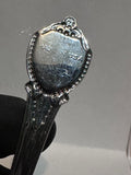 The Alamo San Antonio Texas The Lone Star State Texas Souvenir Spoon